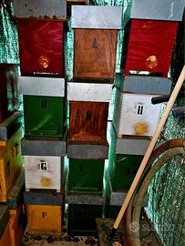 Cassette/Cassettini Api/Apicoltura 