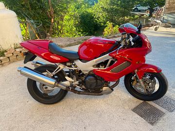 Honda VtrFirestorm 1000