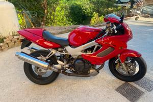 Honda VtrFirestorm 1000