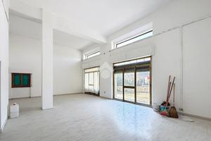 NEGOZIO A ROSIGNANO MARITTIMO