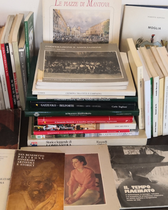 Libri su MANTOVA e provincia