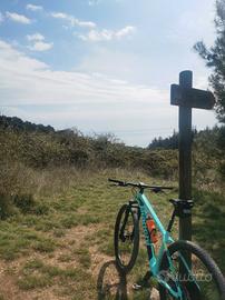 Bianchi nitron