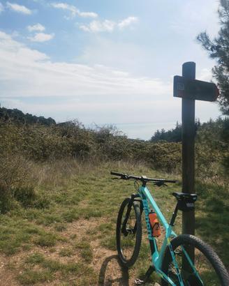 Bianchi nitron