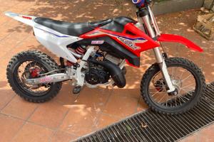 Lem 50 2022