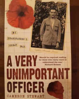 ww1 A very unimportant officer