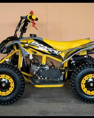 Mini Quad Dragon 50cc 