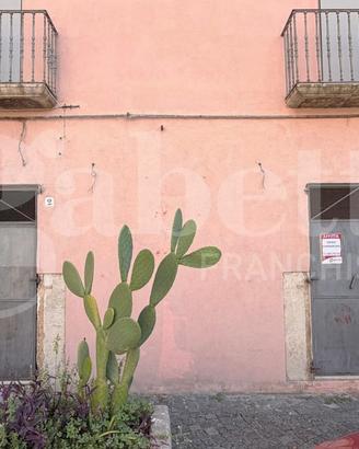 Negozio Venafro [VA LTVD32 67 C102ACG]