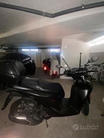 Sh125 2023 versione Sport