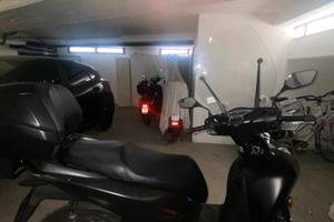 Sh125 2023 versione Sport