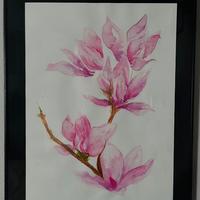 Magnolia acquerello
