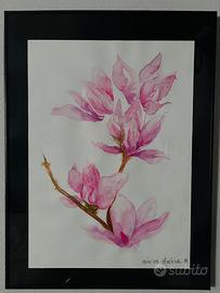 Magnolia acquerello