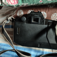 Canon EOS 650 analogica