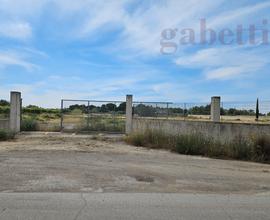 Terreno Agricolo Copertino [CO 337VRG]