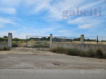 Terreno Agricolo Copertino [CO 337VRG]