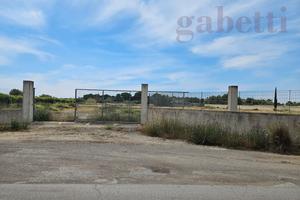 Terreno Agricolo Copertino [CO 337VRG]