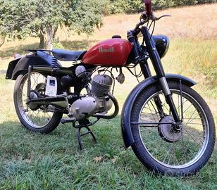 moto Benelli letizia 