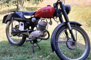 moto Benelli letizia 
