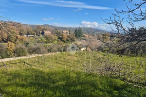 TER. AGRICOLO A PIEDIMONTE ETNEO