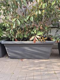 VASO IN POLIPROPILENE COLOR ANTRACITE