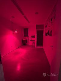 Cabine professionali in salone avviato