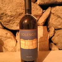 Vino Toscana rosso Solengo Argiano 2000