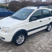 Fiat Panda 4x4 1.3mjt climbing