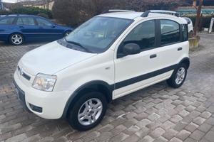 Fiat Panda 4x4 1.3mjt climbing