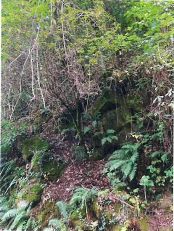 Immobile in asta di 5730 m² a Calcinate - Vista 3