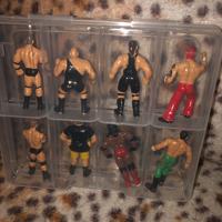 Miniature wrestling