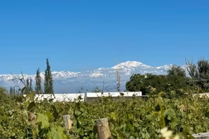 Vigneti e botega