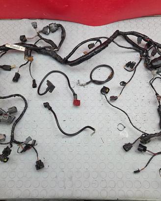CABLAGGIO IMPIANTO KAWASAKI NINJA 1000 2008 2010 Z