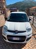 fiat-panda-1-3-mjt-s-s-pop-van-2-posti