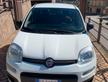 Fiat Panda 1.3 MJT S&S Pop Van 2 posti