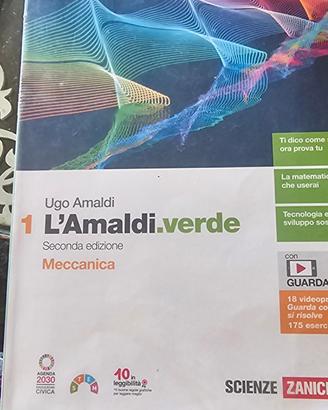 L'amaldi.verde-libro seconda superiore 