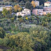 villa signorile con oliveto