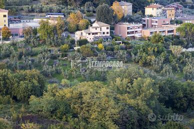 villa signorile con oliveto