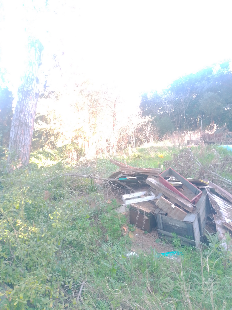 Terreno annnesso e pozzo - Vista 6