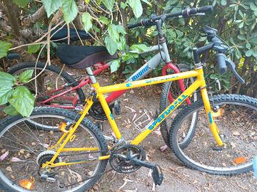 2 biciclette
