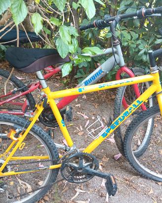 2 biciclette