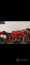 Ducati 175