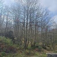 Terreno - Linguaglossa