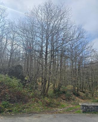 Terreno - Linguaglossa