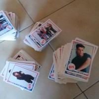 Beverly hills 90210 anno 1991 carte panini card