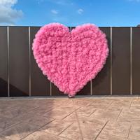 Cuore nascita