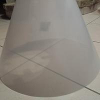 collare elisabettiano 