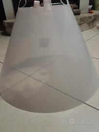 collare elisabettiano 