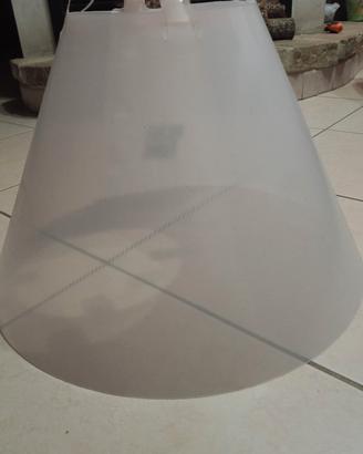 collare elisabettiano 