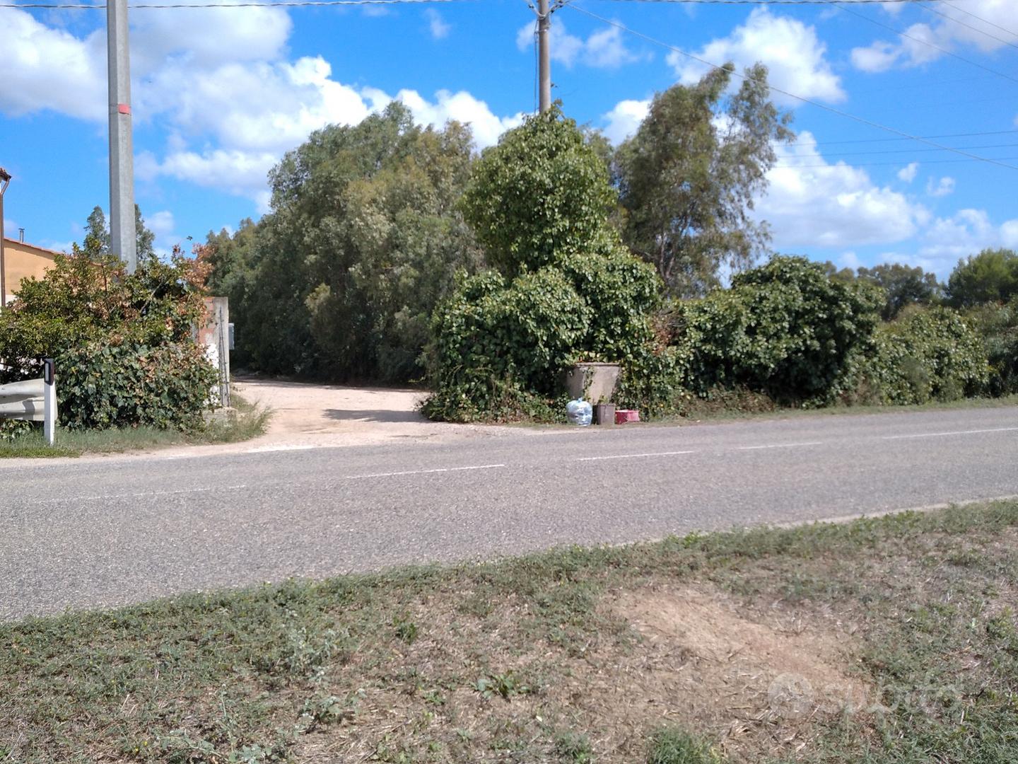 Terreno 1.500 metri quadri - Vista 4