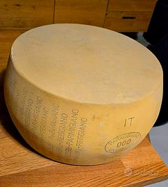 forma parmigiano reggiano plastica design