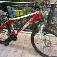 Mountain Bike Torpado